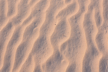 Wall Mural - Texture Sand Dune Desert