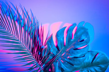 Tropical Leaves In Vibrant Bold Gradient Holographic Neon Colors