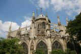 Fototapeta Paryż - Katadra Notre Dame w Paryżu
