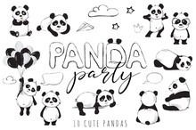 Panda Bears Banner With Cute Animals, Inscription Panda Party And Balloons