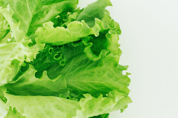 Fresh green salad close up isolated on white background.