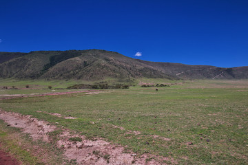 Canvas Print - Ngorongoro, Safari, Tanzania