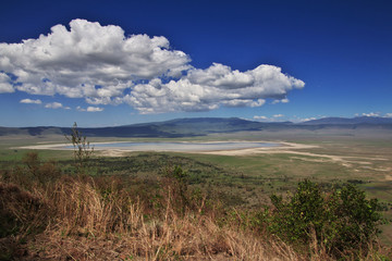 Wall Mural - Ngorongoro, Safari, Tanzania