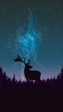 Starry Sky, Northern Lights, Pine Forest And Silhouette Of Deer