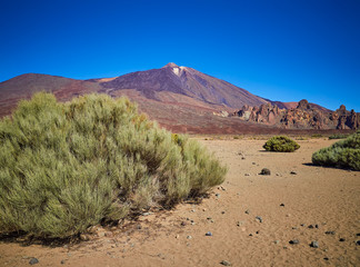 A Spectacular view to the Pico del Teide volcano in Tenerife national park, Canary Island, Spain