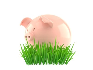 Wall Mural - Piggy bank on grass