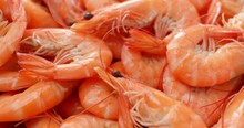 Cooked Fresh shrimp