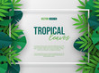 Banner with exotic jungle tropical palm leaves and 3d frame. Summer floral design, paper cut style. Copy space. Vector illustration.