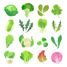 Leafy Vegetables Set, Agriculture And Green Plant