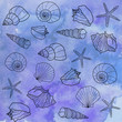 Seashells on a watercolor background