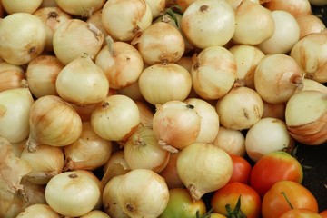 Canvas Print - Fresh onion for cooking at street food