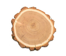 A Slice Of Acacia Wood Representing Profile Of Cut Tree.