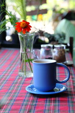 Blue Cup Of Coffee On Quilt Table Cloth With Vase Of Orangy Red Spring Flower On The Background