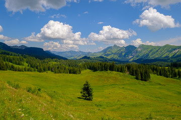 Wall Mural - Summer time landscape in Switzerland