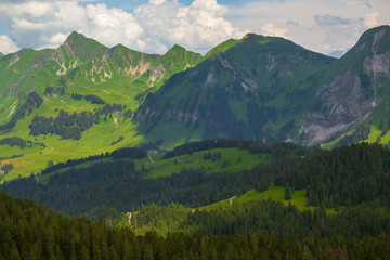 Wall Mural - Summer time landscape in Switzerland