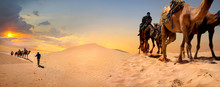 Safari Tourism On Camels. Sahara Desert, Tunisia, North Africa