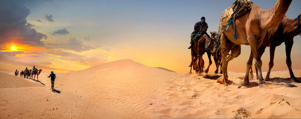 Safari tourism on camels. Sahara desert, Tunisia, North Africa