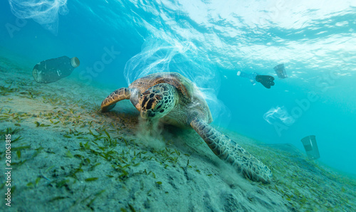Fotografía Underwater global problem with plastic rubbish