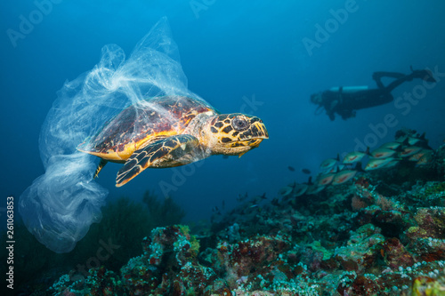 Fotografía Underwater global problem with plastic rubbish