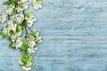 Wall Mural - Spring.