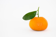 Mandarino Su Sfondo Bianco