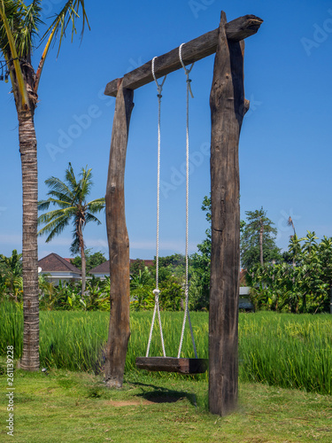Rope Swing In A Green Rice Field Bali Buy This Stock