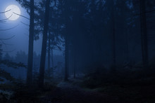 An Eerie Full Moon, Very Scary, At Night In The Teutoburg Forest In Germany, Where You Never Want To Be At Night.