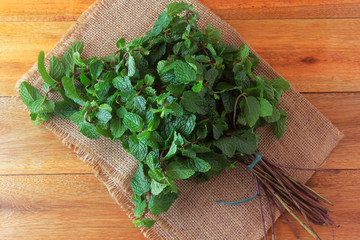 Group of fresh organic green mint on rustic wooden table. Aromatic peppermint with medicinal and culinary uses