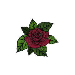 Wall Mural - Rose illustration design