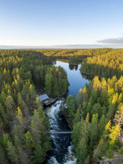 Wall Mural - Aerial view of Myllykoski rapids and water mill in Oulanka National Park, Kuusamo, Finland