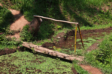 Wall Mural - rice terraces, Bali, Indonesia