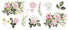 Watercolor Illustration. Botanical Collection. Set Of Wild And Garden Flowers.  Leaves,flowers, Pink Roses And Other Natural Elements.