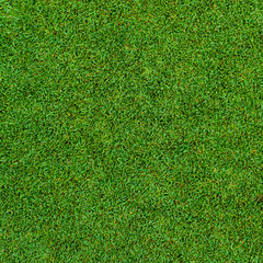 Wall Mural - Background and texture of Beautiful green grass pattern from golf course