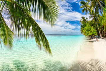 tropical paradise beach white sand and coco palms travel tourism background concept