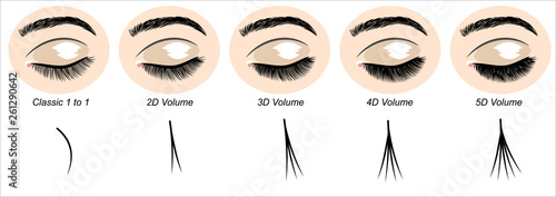 Cuadros en Lienzo Eyes with extended artificial eyelashes