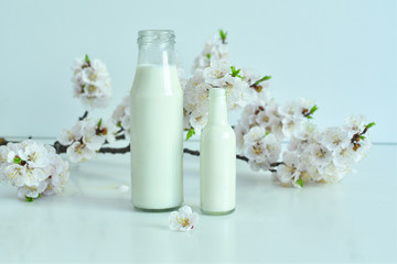 Two bottles of fresh milk with apricot flowers on   white background. Fresh milk from the farm. Dairy product.