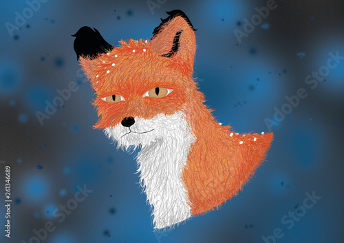 Valokuvatapetti Zorro