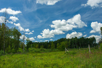 Meadow in the forest and white clouds on a blue sky