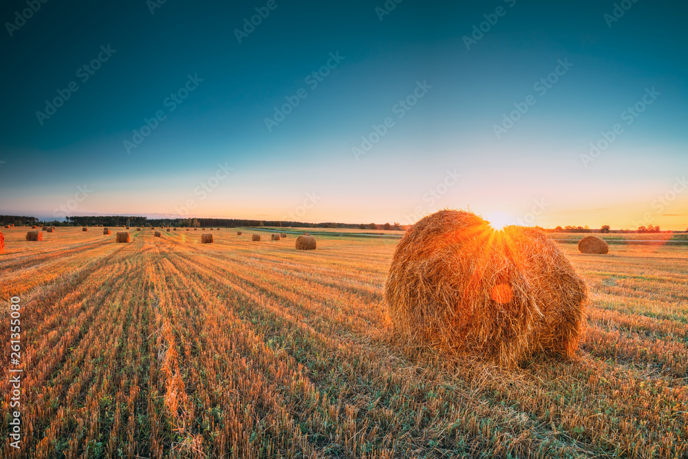 Rural Landscape Field Meadow With Hay Bales During Harvest In Sunny Evening. Late Summer - obrazy, fototapety, plakaty 