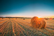 © Great Brut Here - Rural Landscape Field Meadow With Hay Bales During Harvest In Sunny Evening. Late Summer