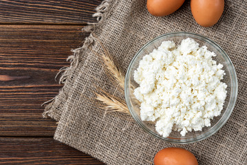 Wall Mural - Cottage cheese, eggs and milk on dark wooden background.