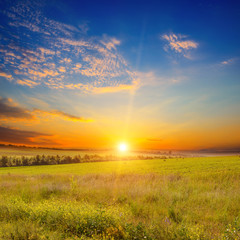 Wide landscape green field and sunset