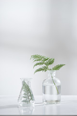 Wall Mural - clear water in glass flask and vial with natural green leave in biotechnology science laboratory bac