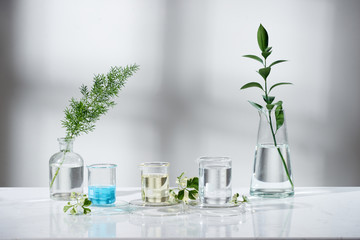 Wall Mural - laboratory experiment and research with leaf, oil and ingredient extract for natural beauty and orga