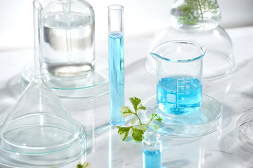 Wall Mural - cosmetic laboratory research and development . science bio skincare cream serum product with leaves.