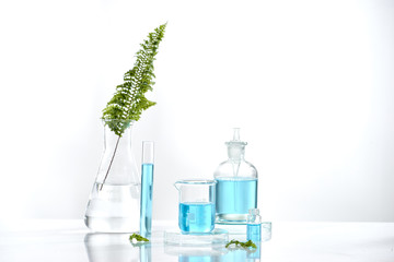 Wall Mural - herbal medicine natural organic and scientific glassware, research and development concept.