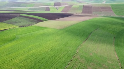 Wall Mural - Aerial top view on hilly agricultural fields in Morocco, Africa, 4k