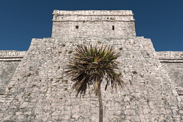 Wall Mural - ruins of the mayan city tulum, quintana roo, mexico