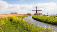 Colorful Typical Dutch Landscape In Springtime