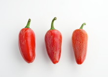 Three Isolated Ripe Mexican Red Jalapeño Peppers